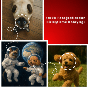 Evcil hayvanların farklı fotoğraflardan birleştirilerek uzay temalı dijital sanata dönüştürülmesi – kedi ve köpek astronot portresi